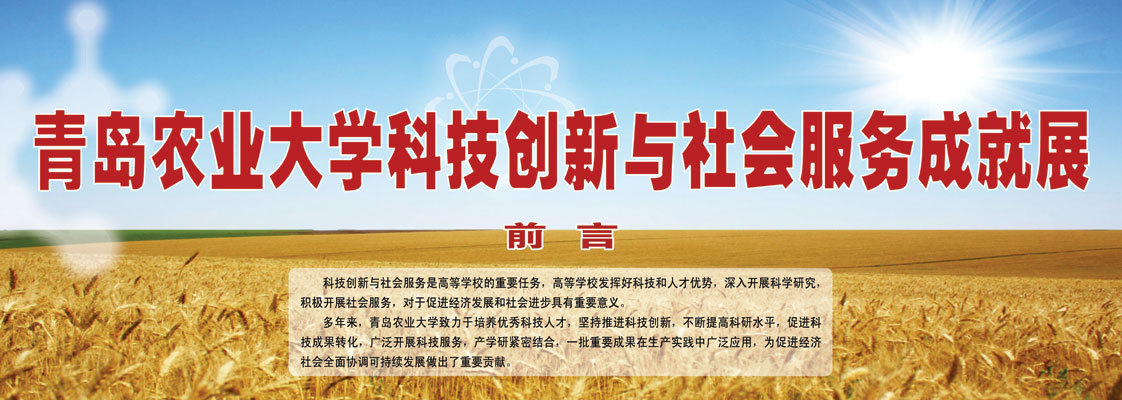 88858cc永利