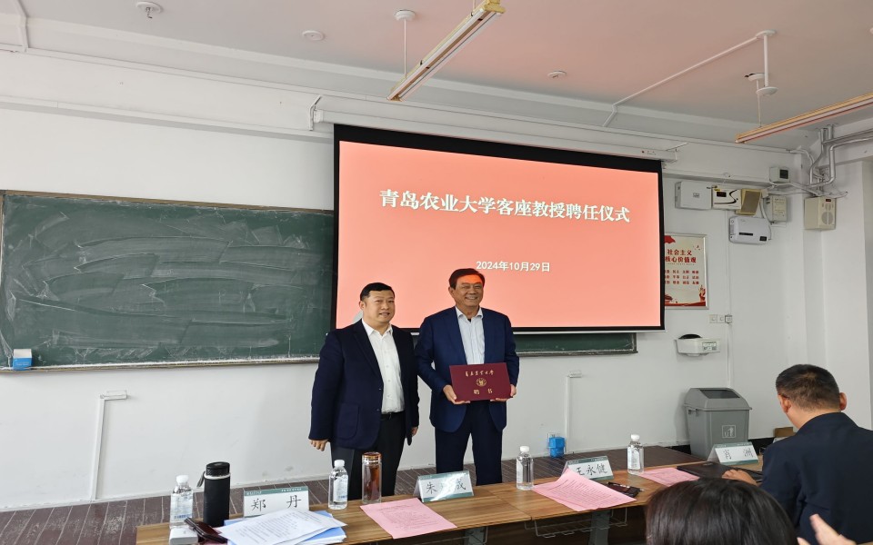 88858cc永利