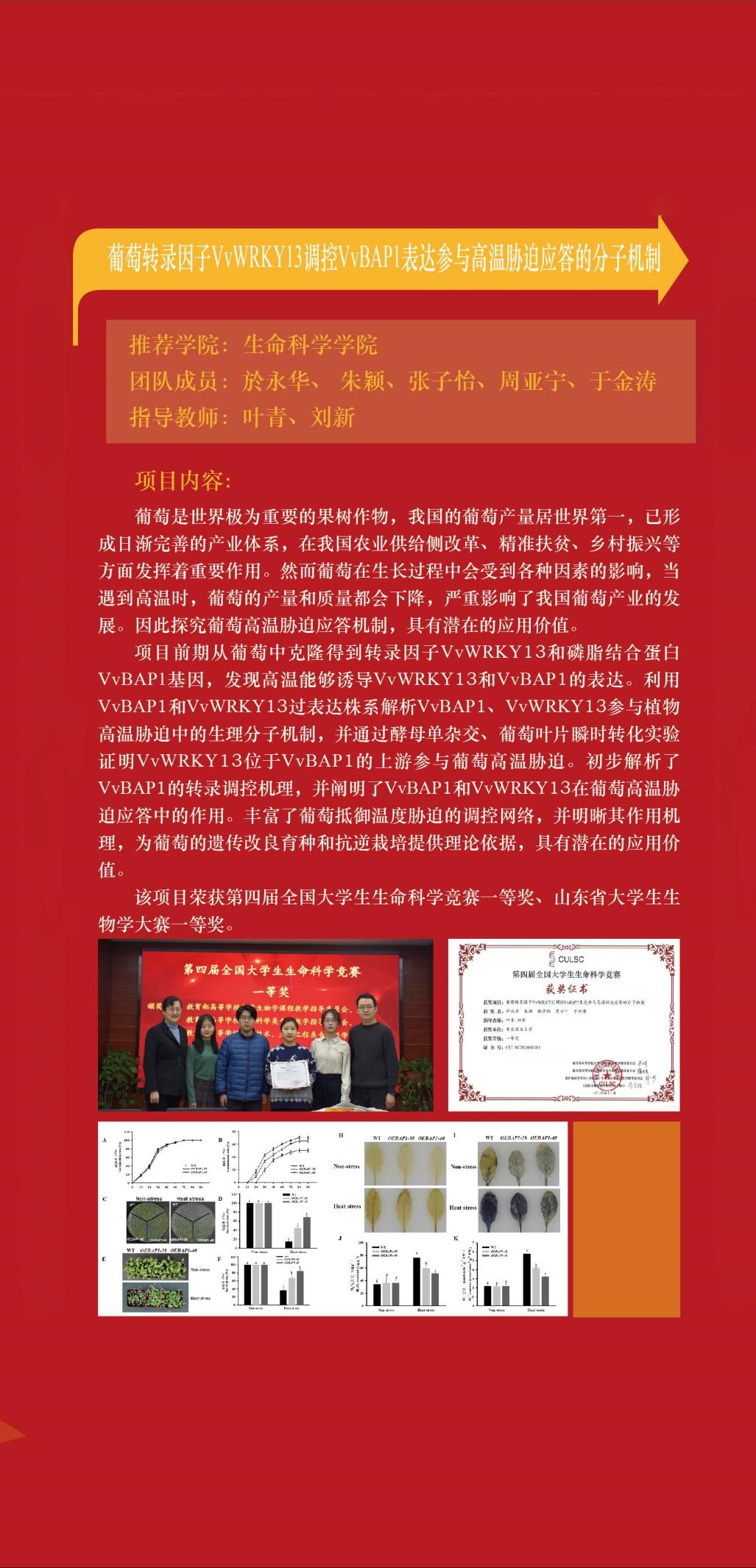 88858cc永利