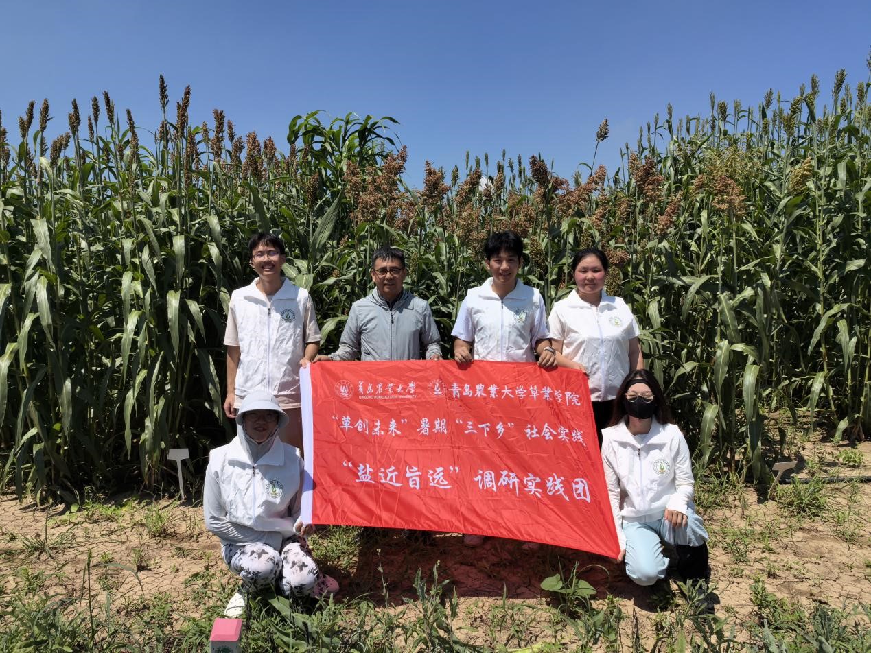 88858cc永利