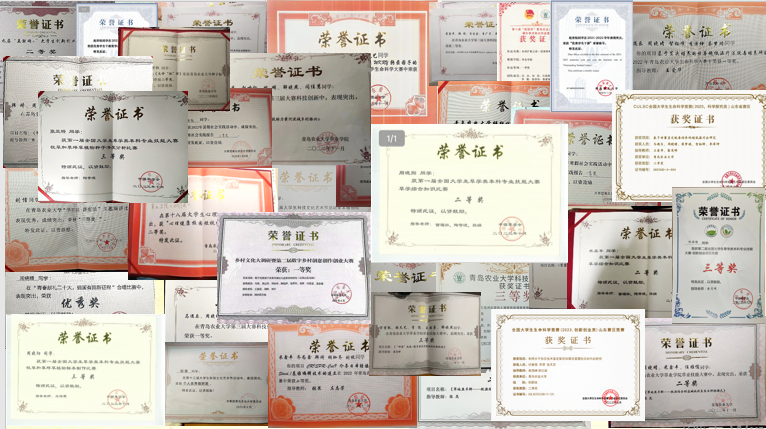 88858cc永利