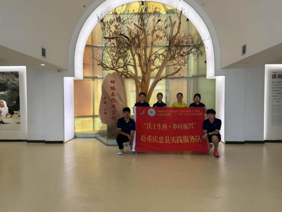 88858cc永利