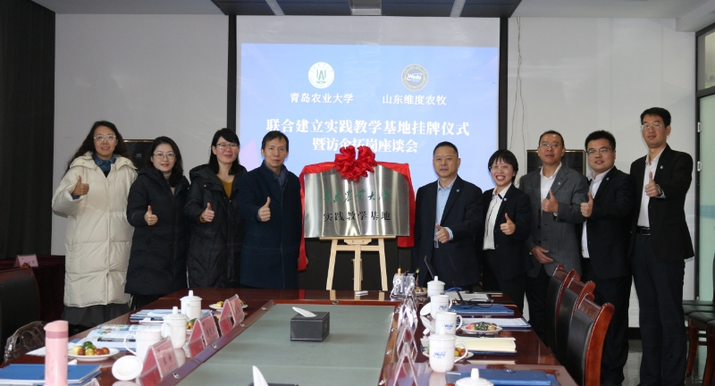 88858cc永利