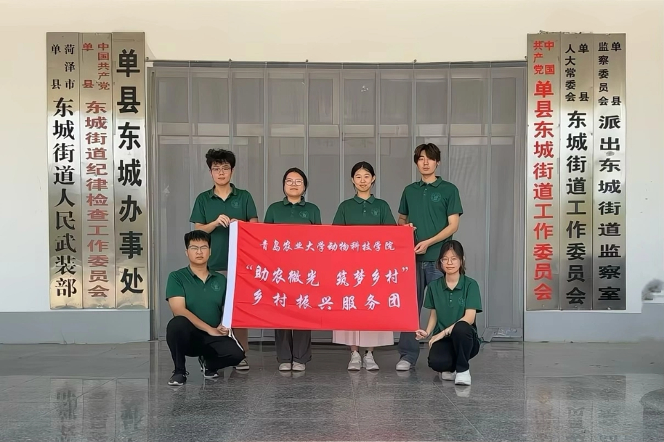 88858cc永利