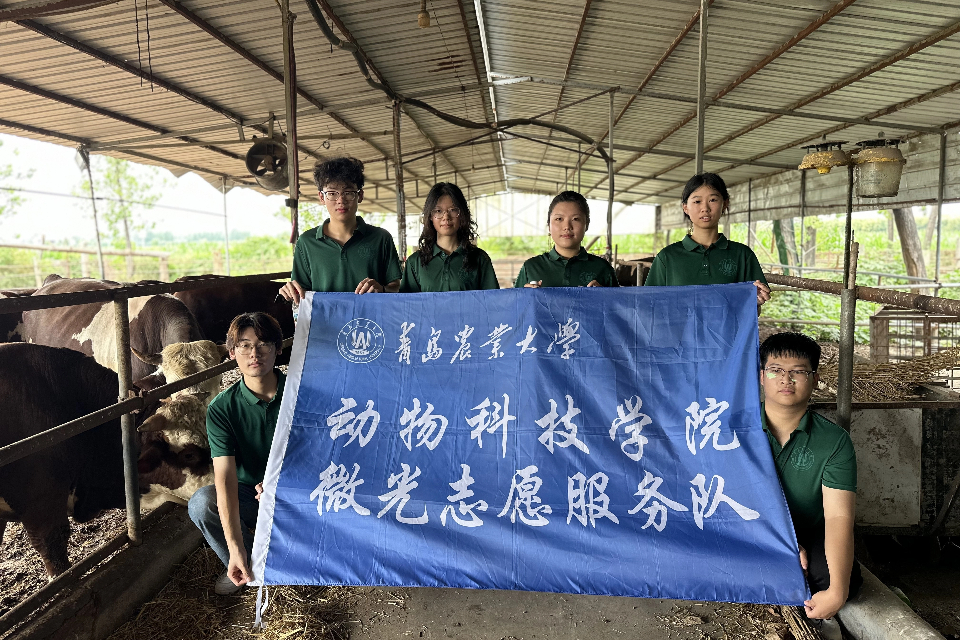 88858cc永利