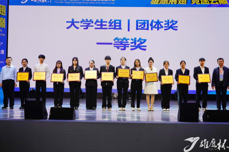 88858cc永利