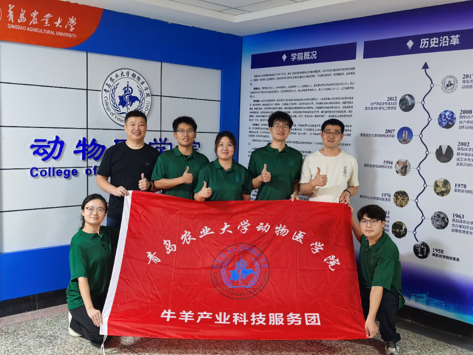 88858cc永利