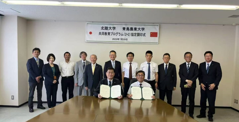 88858cc永利