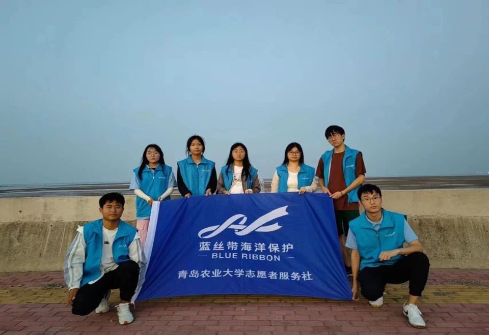 88858cc永利