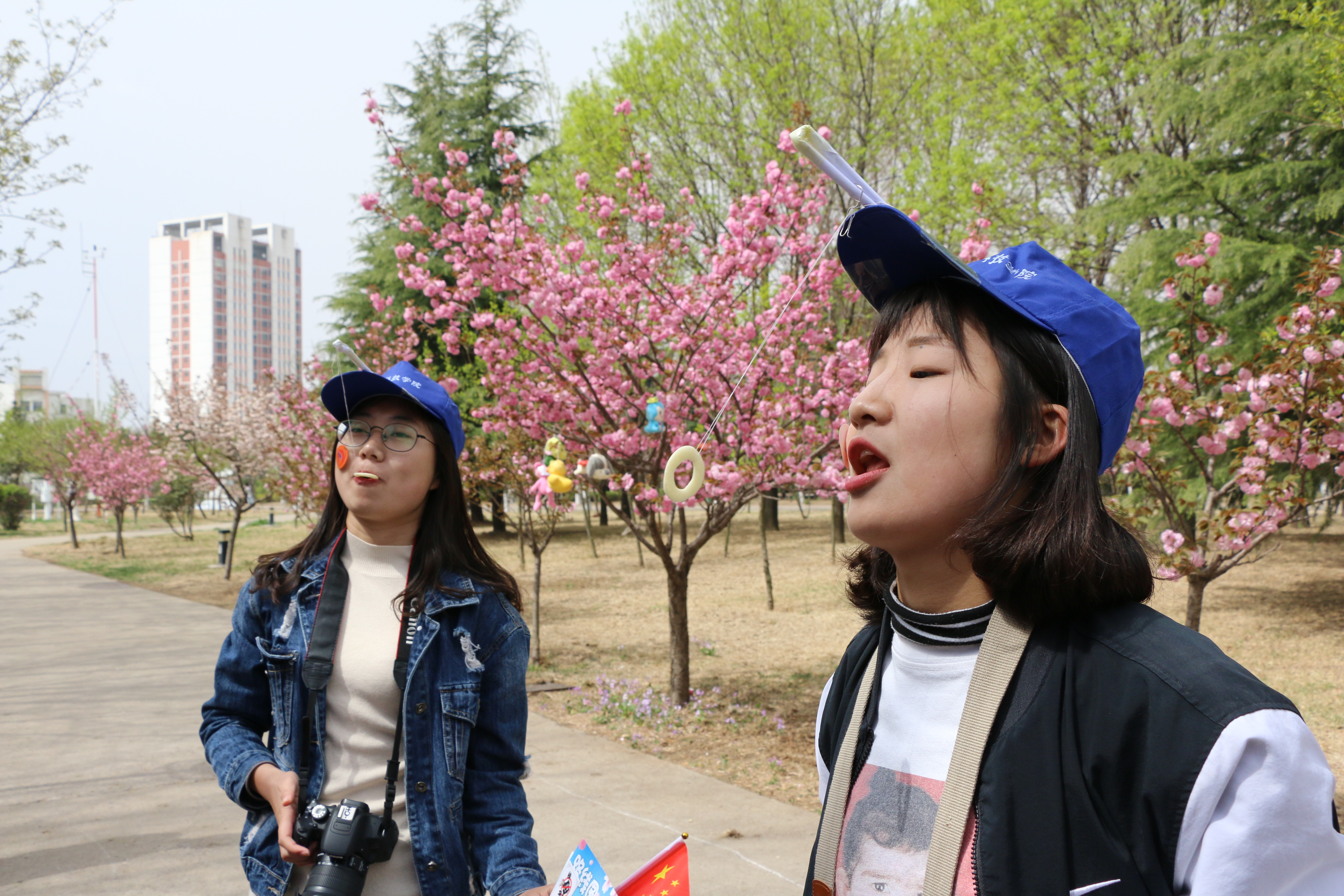 88858cc永利