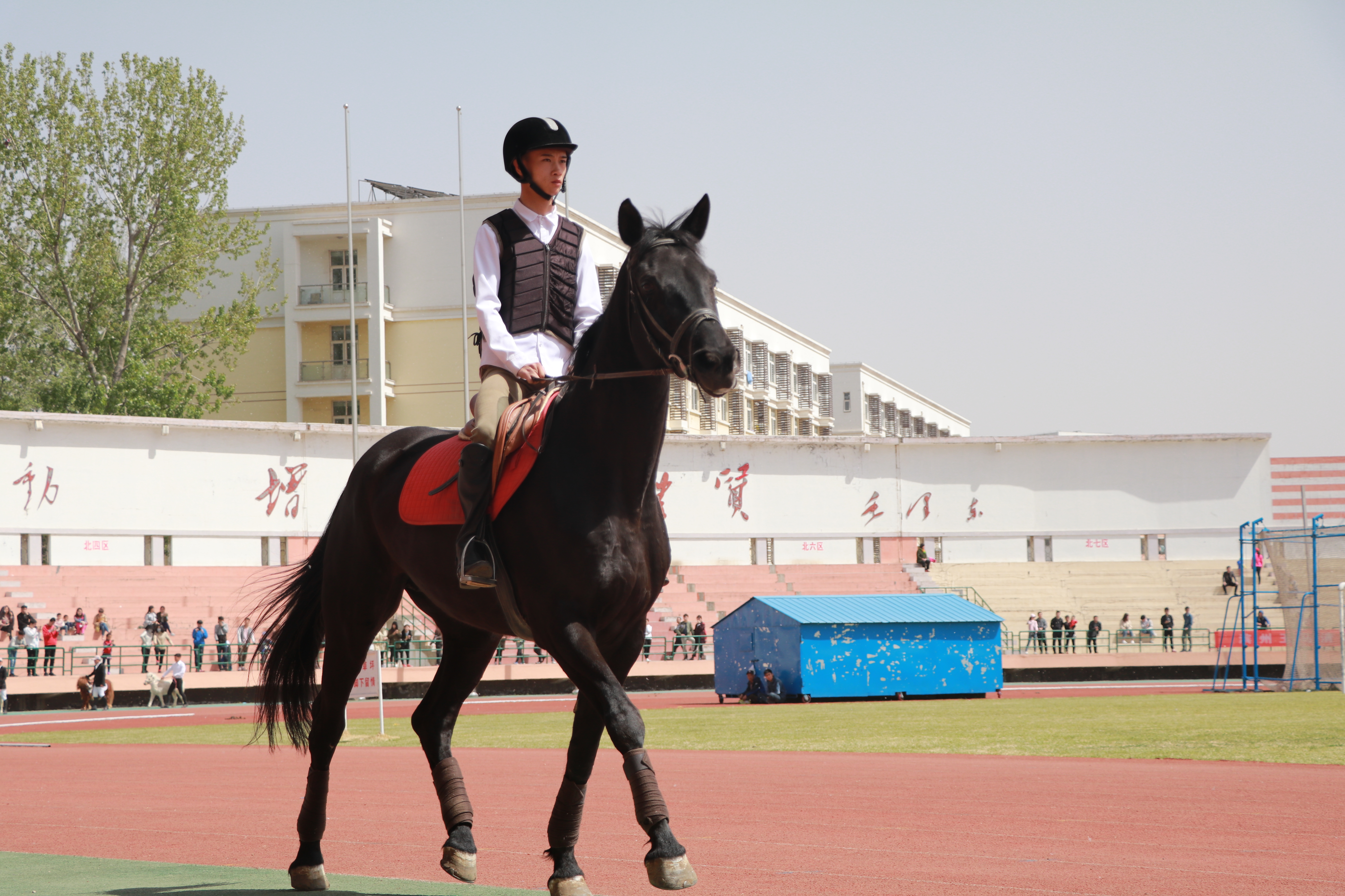 88858cc永利