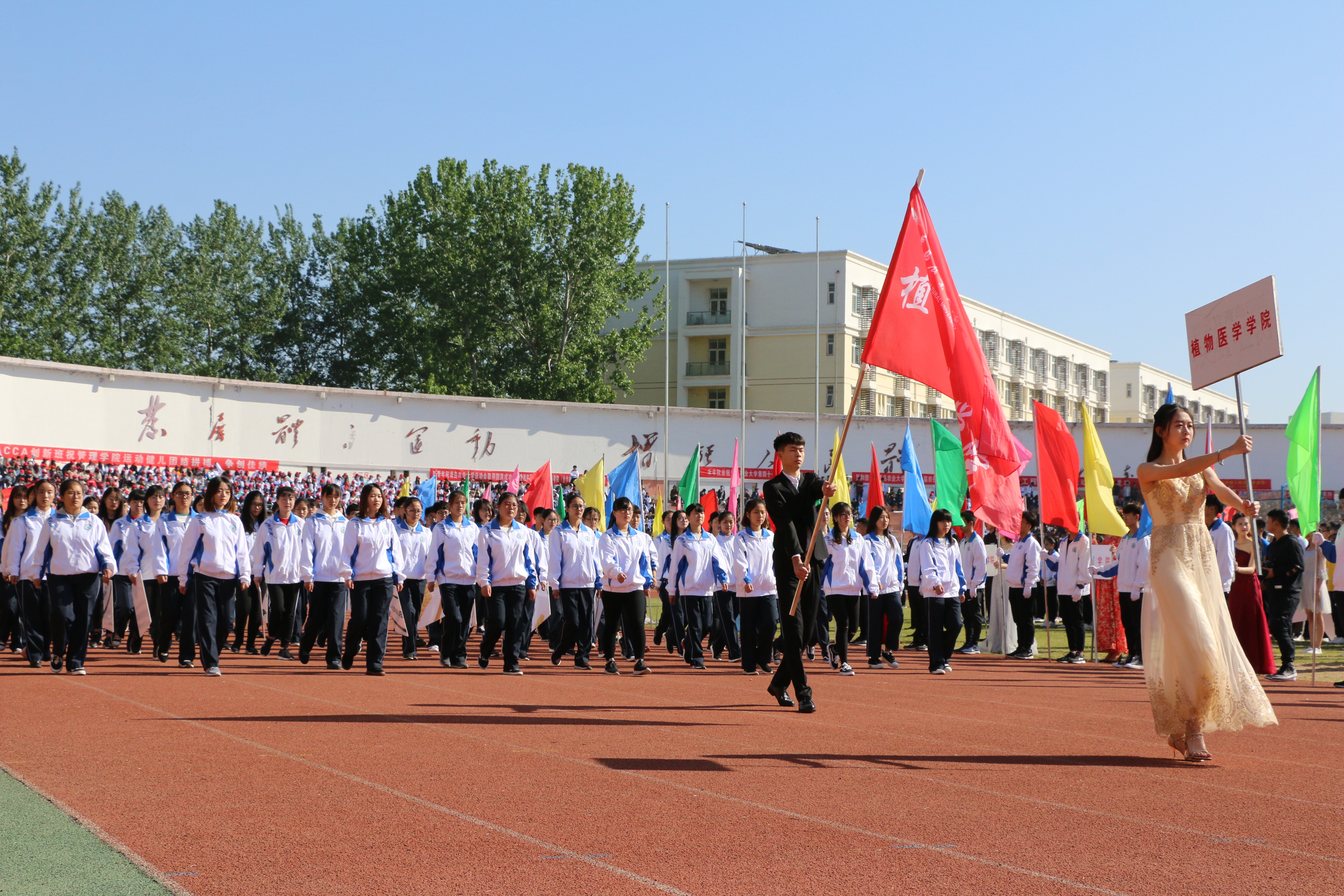88858cc永利