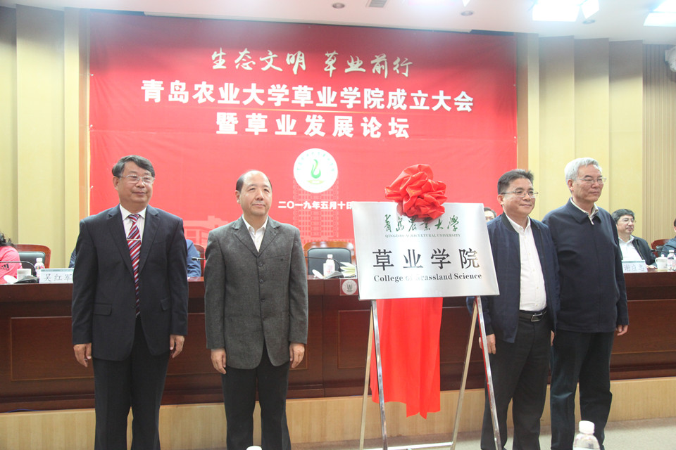 88858cc永利