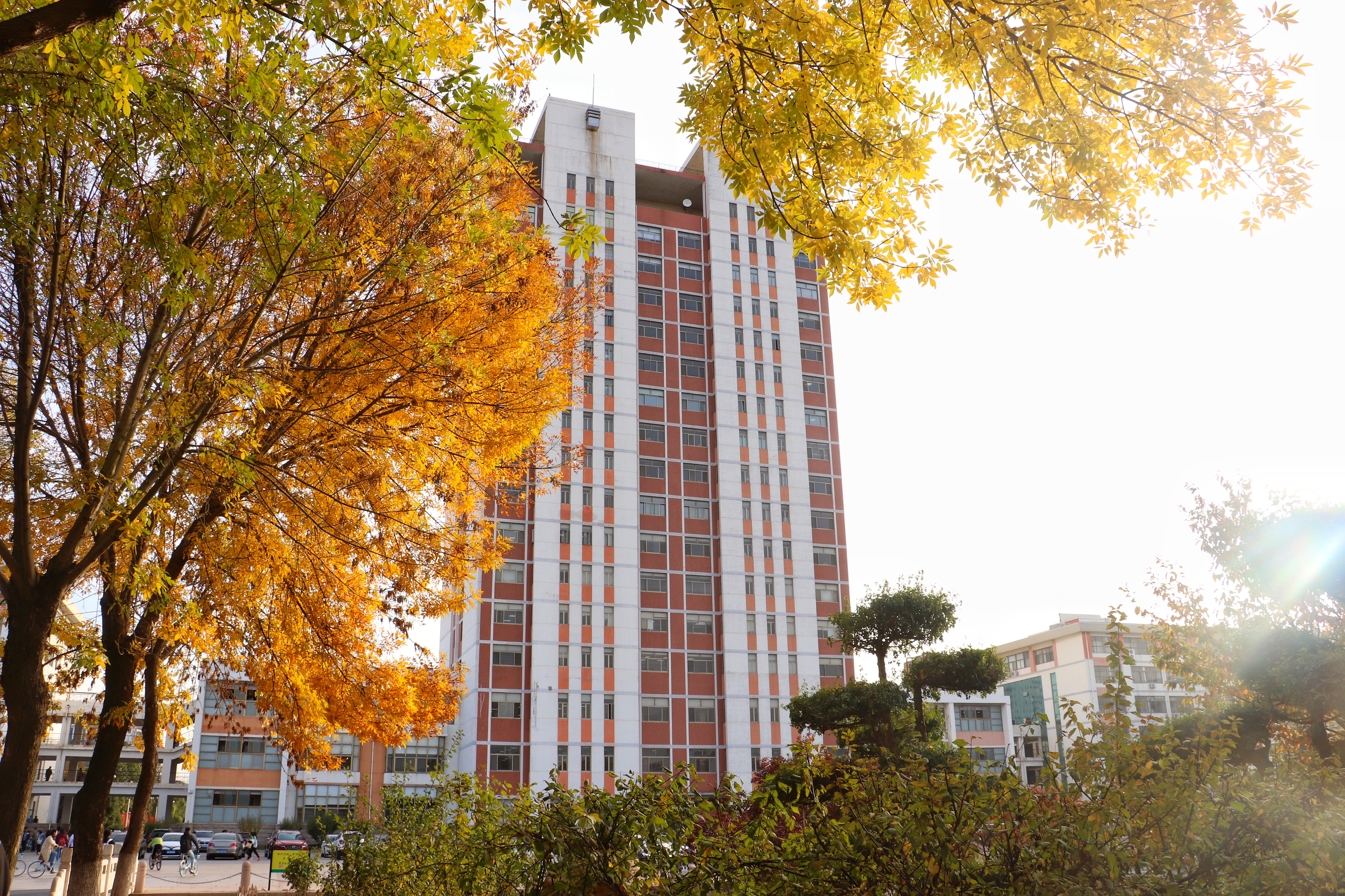 88858cc永利