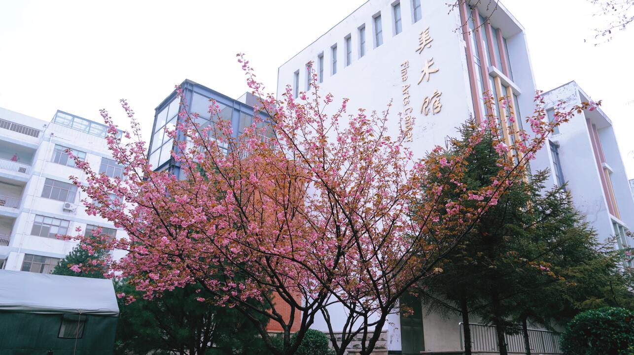 88858cc永利