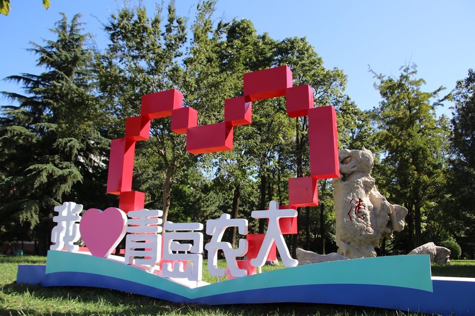 88858cc永利