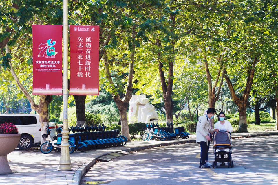 88858cc永利