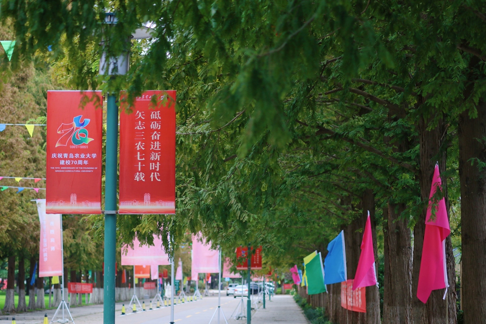 88858cc永利