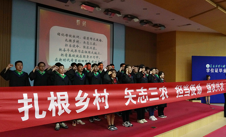 88858cc永利