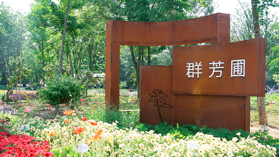 88858cc永利