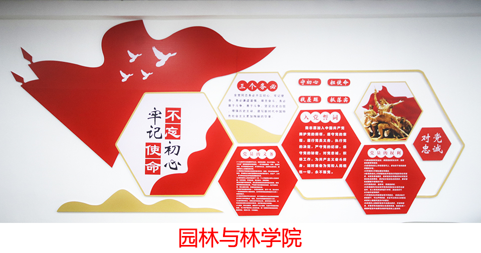 88858cc永利