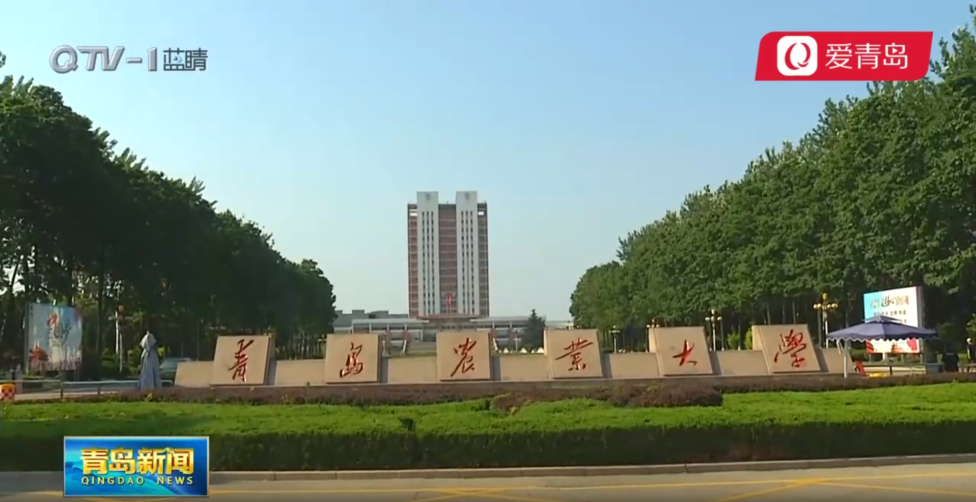 88858cc永利