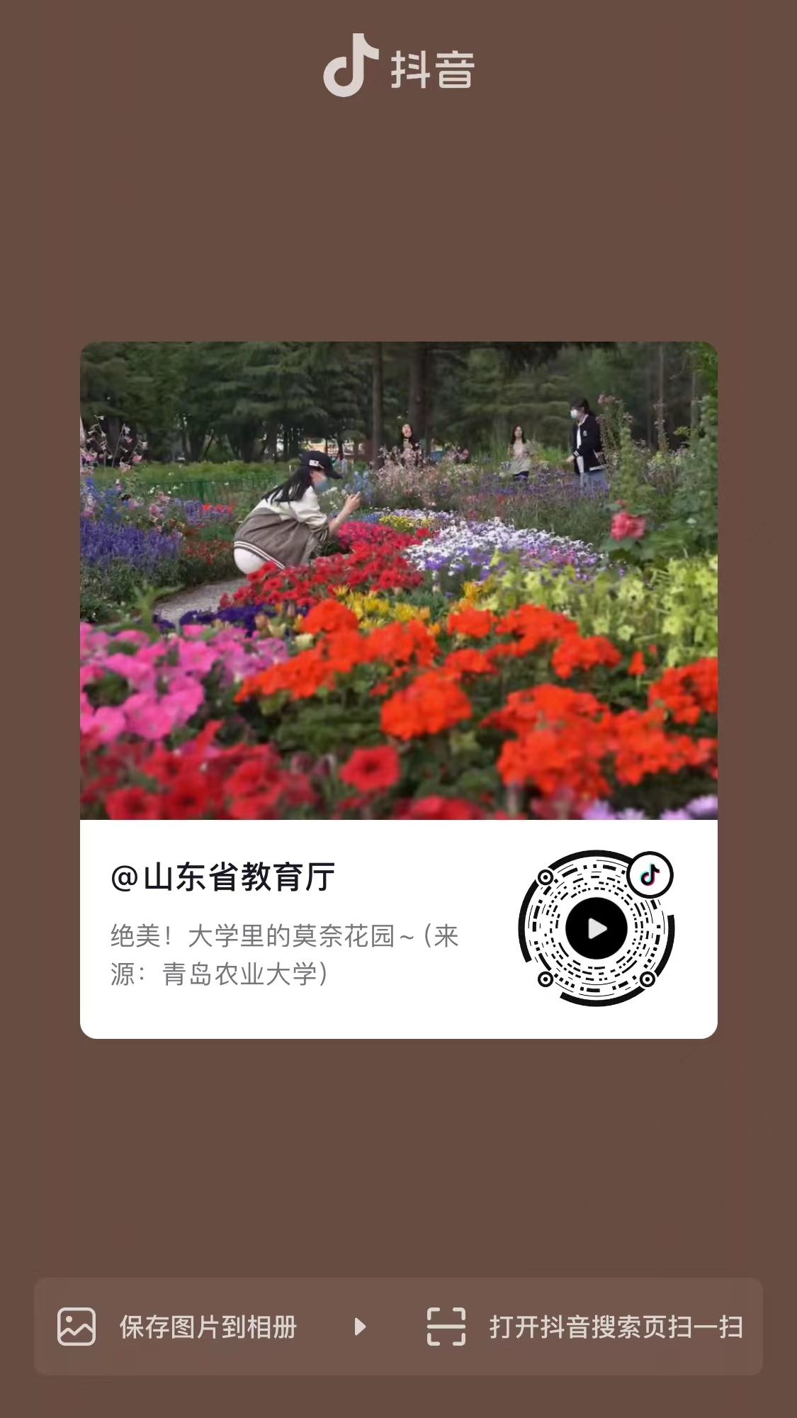 88858cc永利