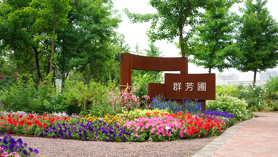 88858cc永利