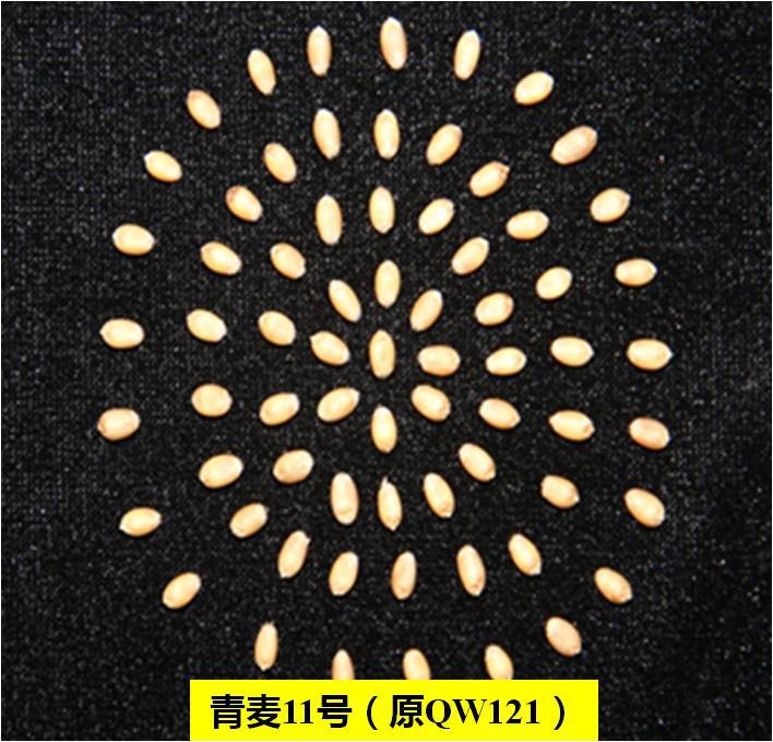 88858cc永利
