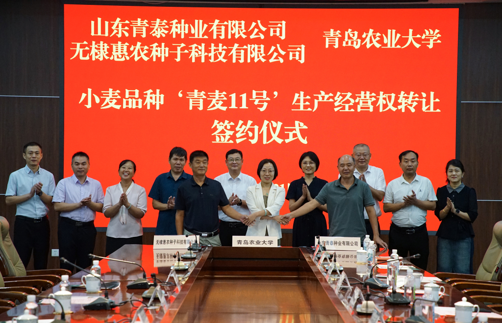 88858cc永利