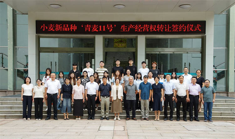 88858cc永利