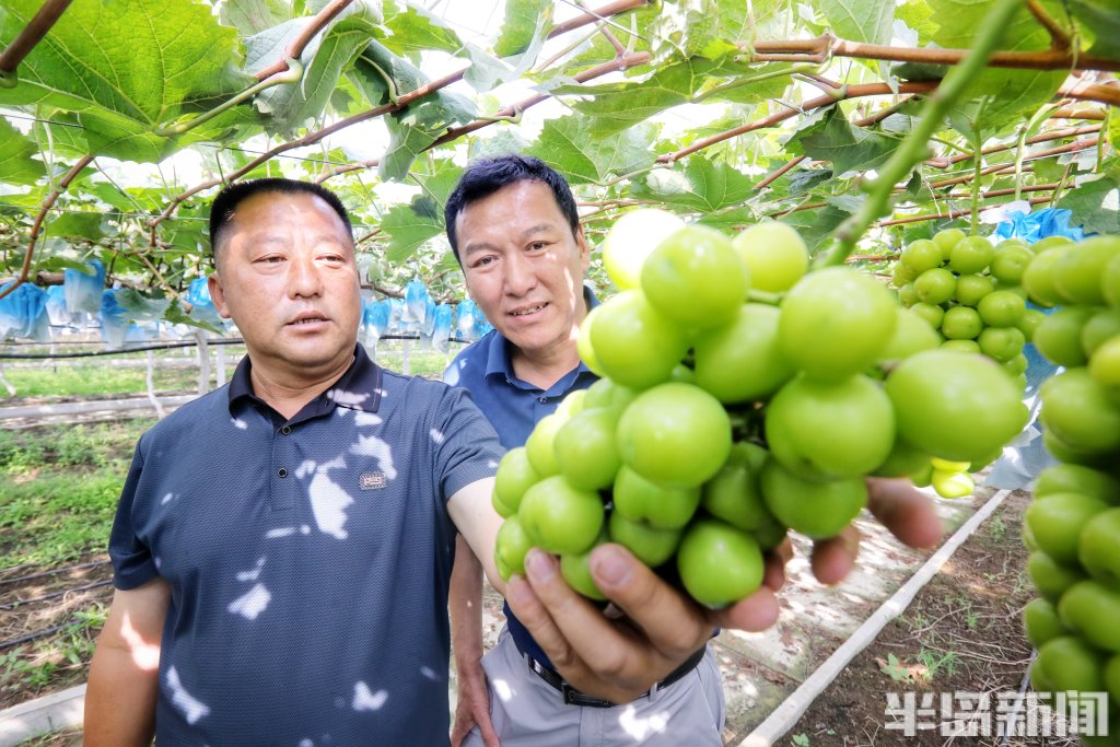 88858cc永利