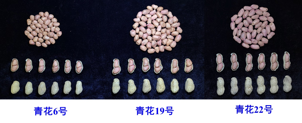 88858cc永利