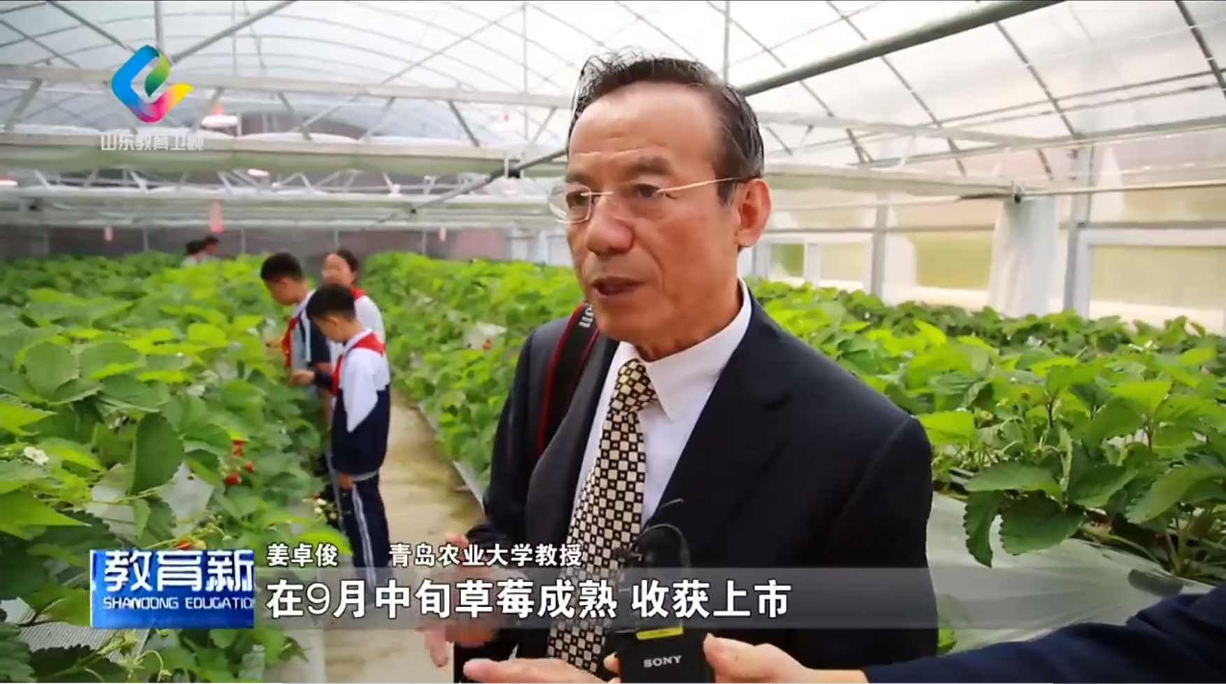 88858cc永利