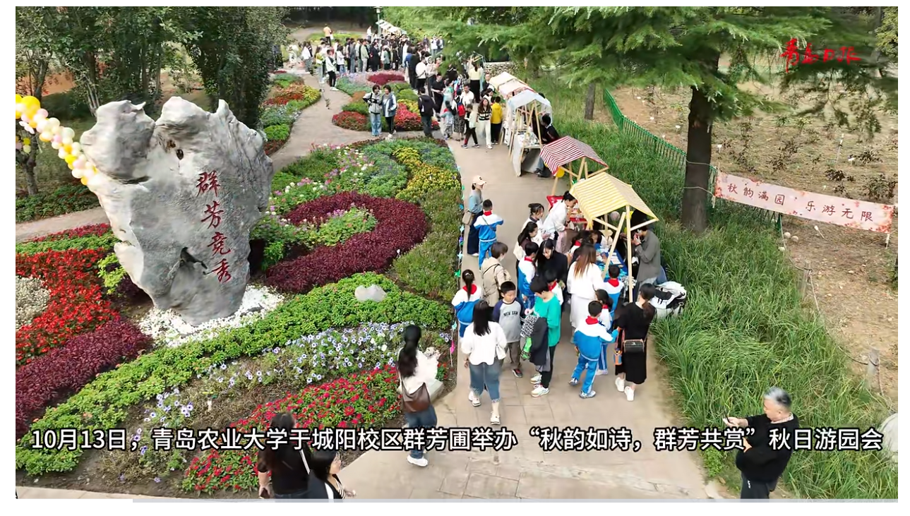 88858cc永利