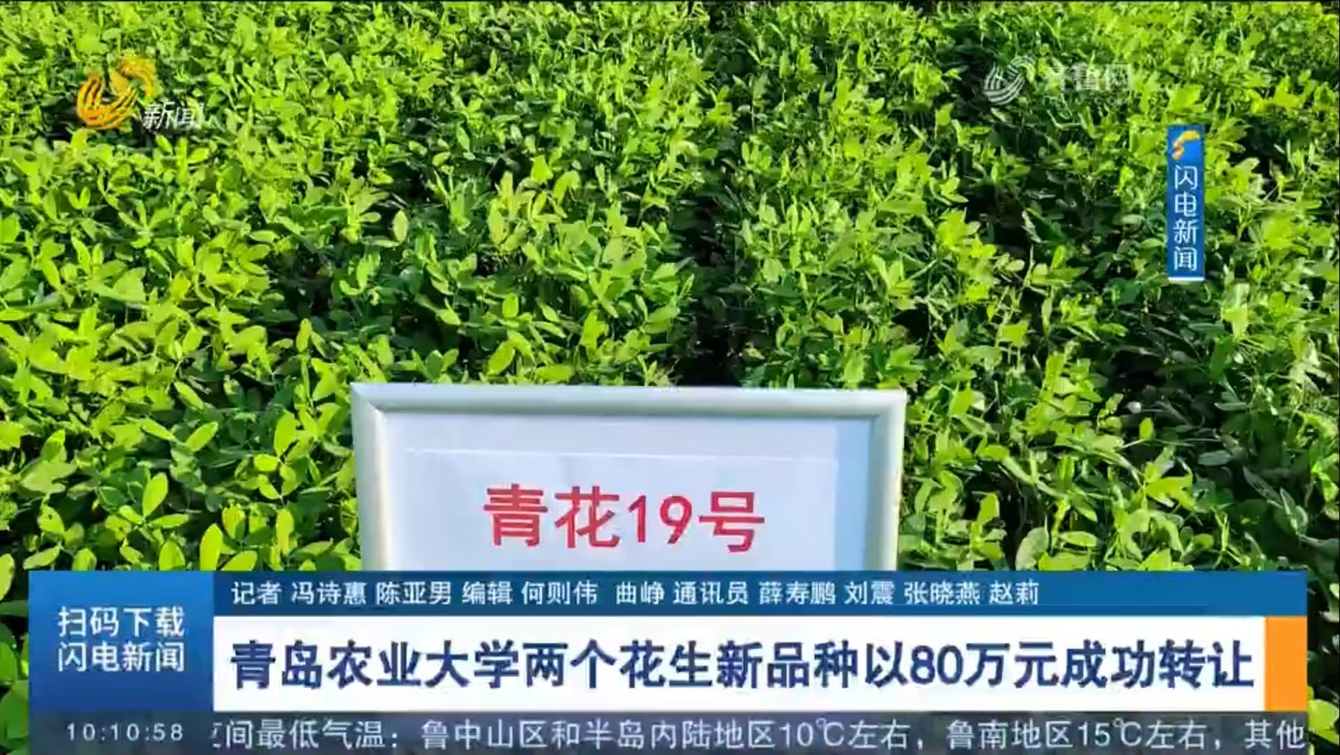 88858cc永利