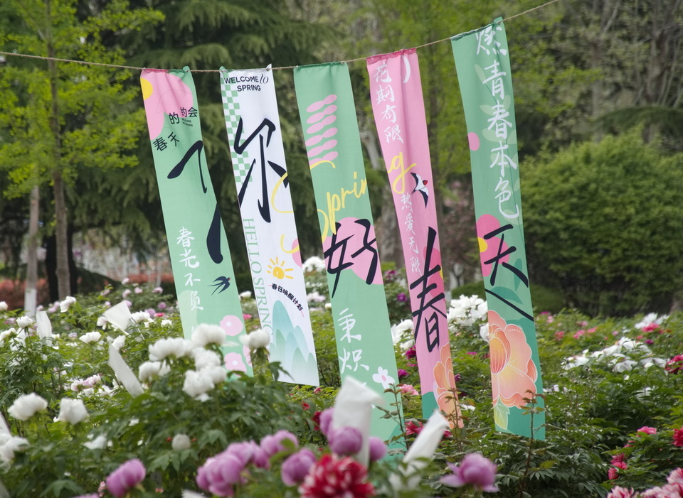 88858cc永利
