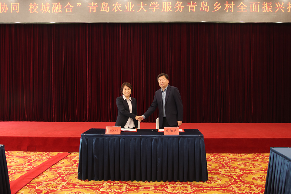 88858cc永利