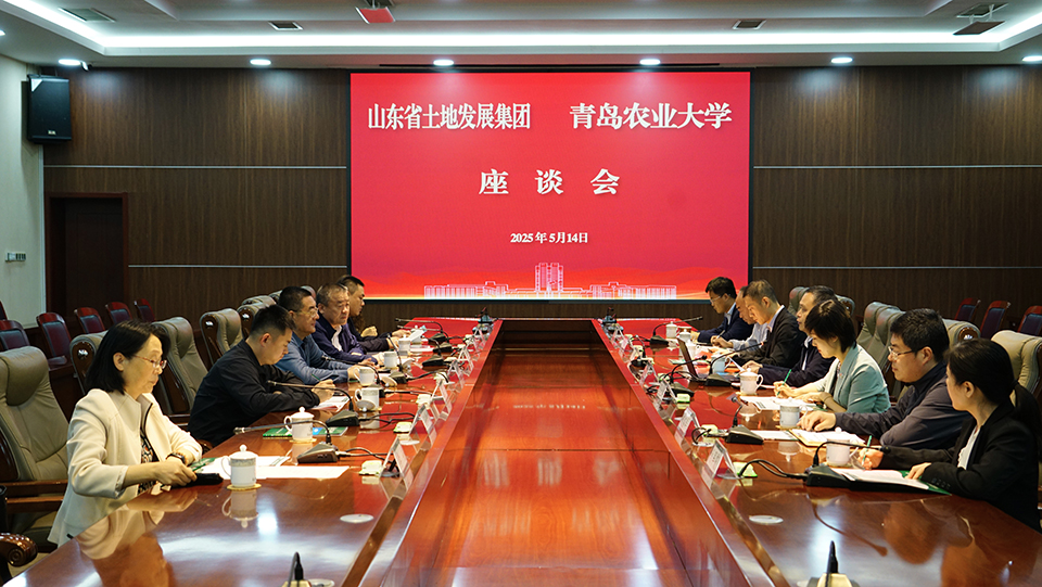 88858cc永利