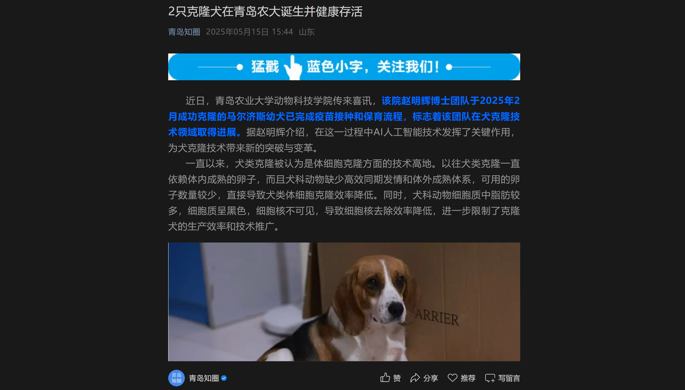 88858cc永利