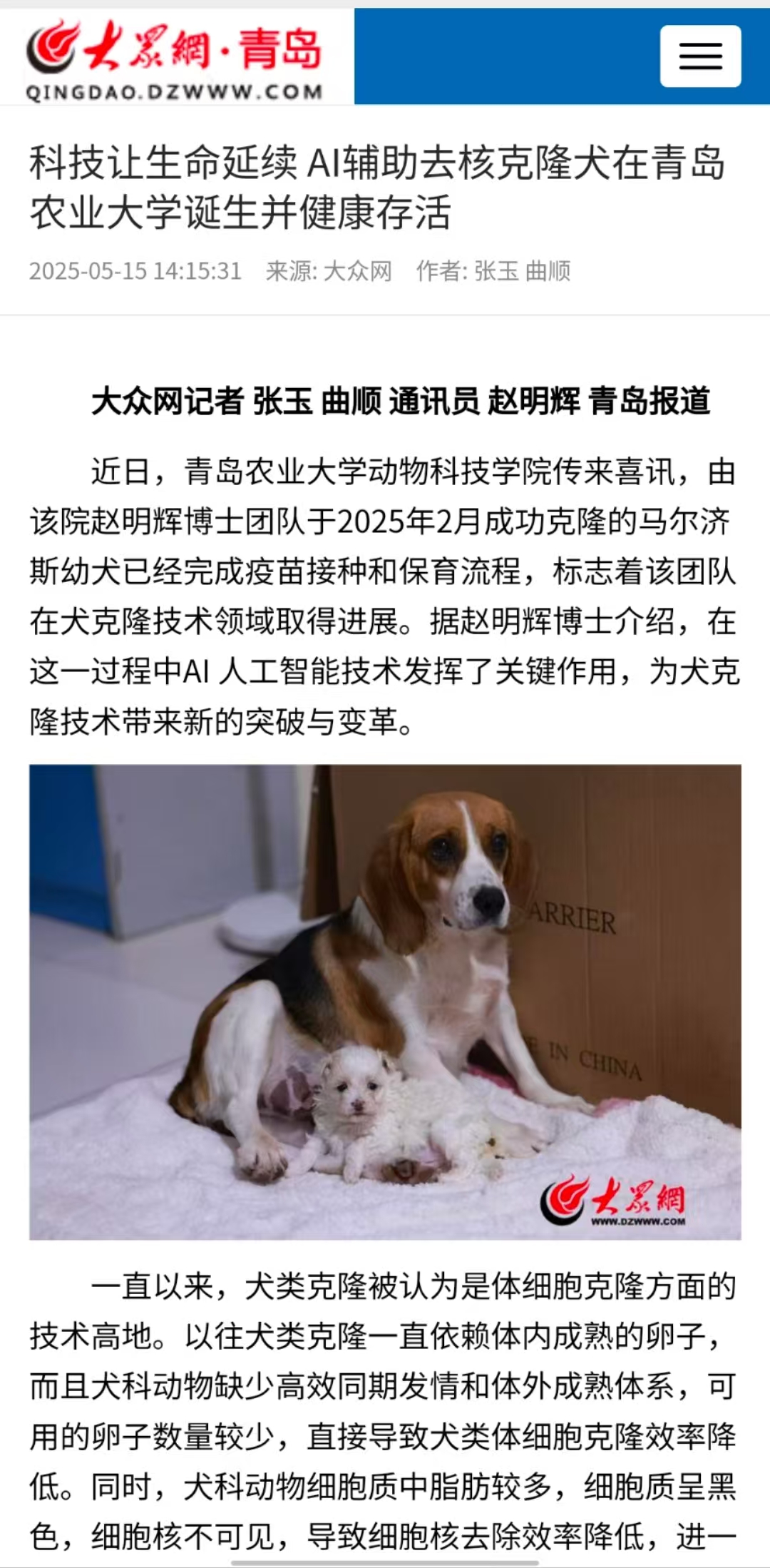 88858cc永利