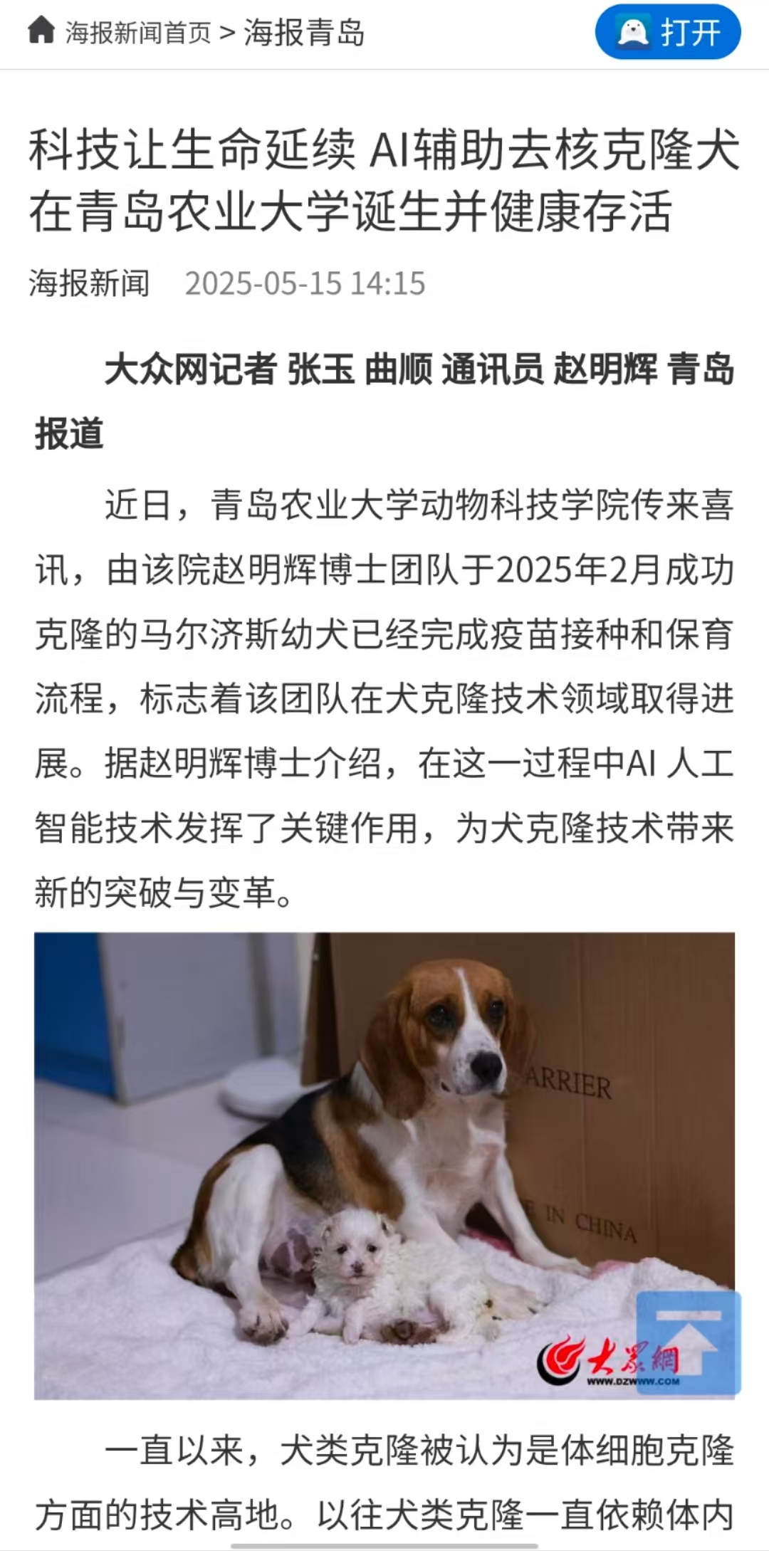88858cc永利