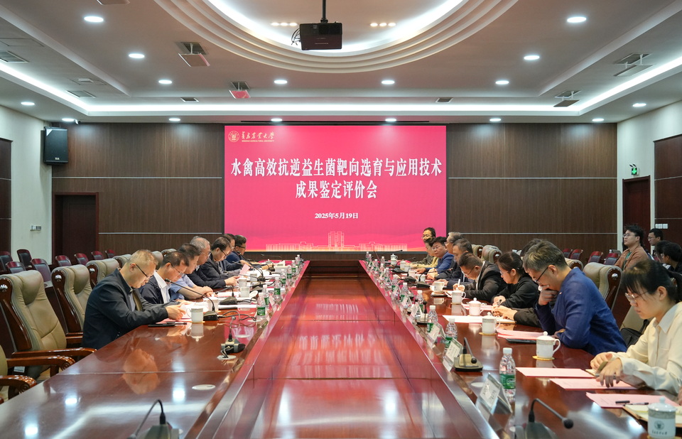 88858cc永利