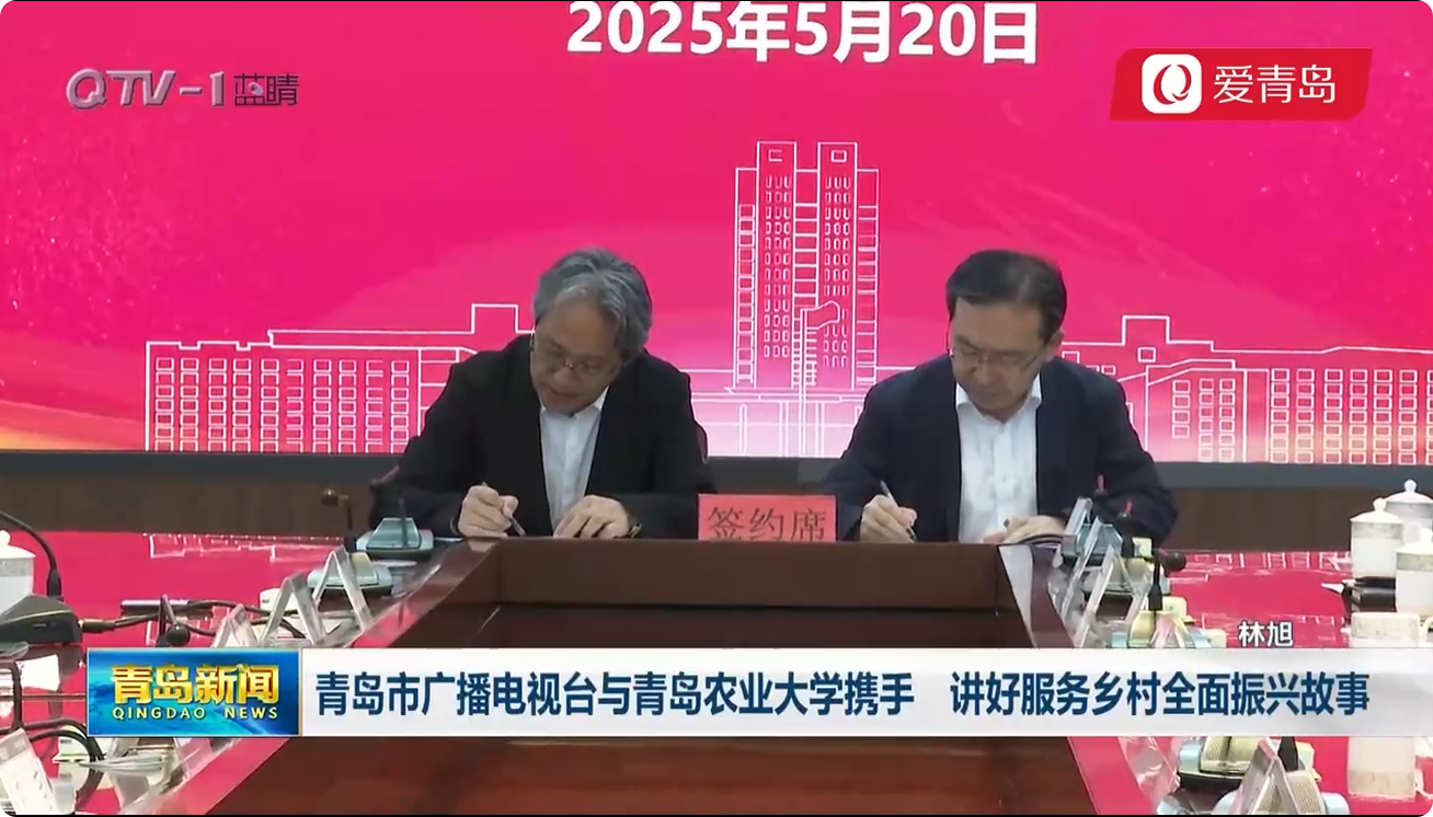 88858cc永利