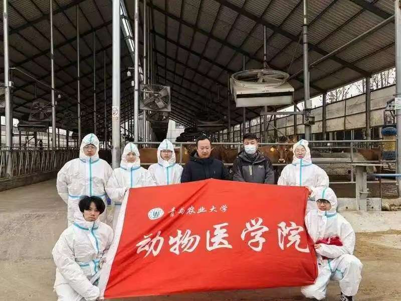 88858cc永利