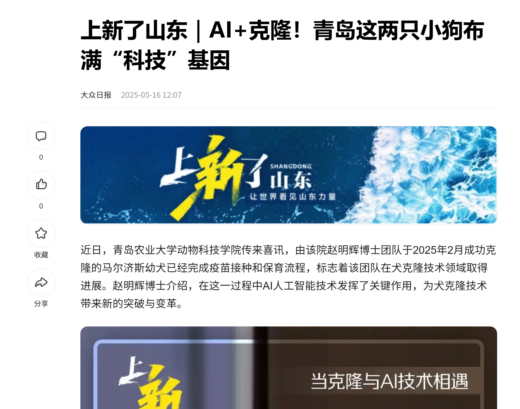 88858cc永利
