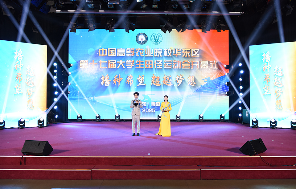 88858cc永利