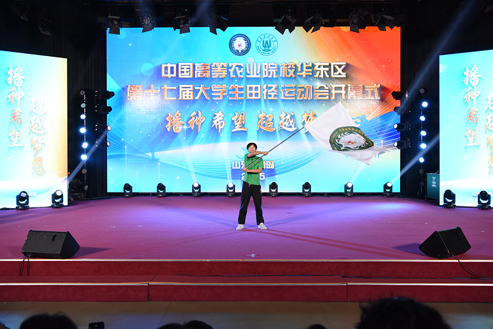 88858cc永利