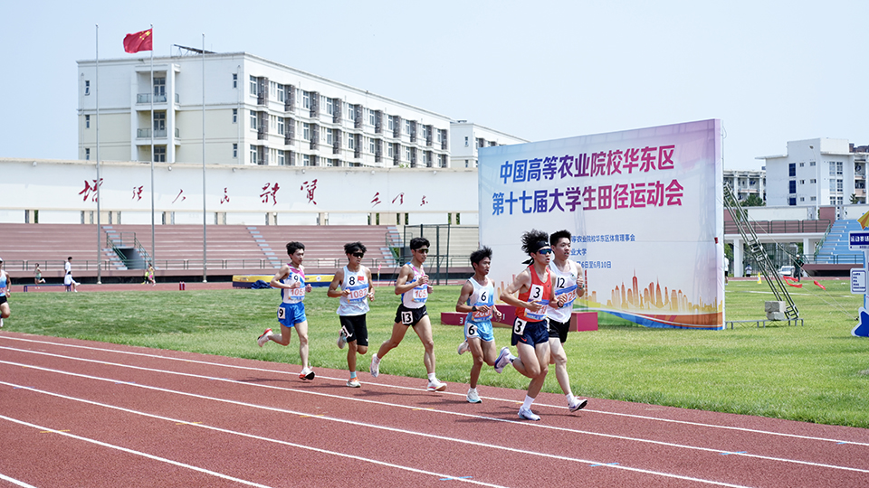88858cc永利