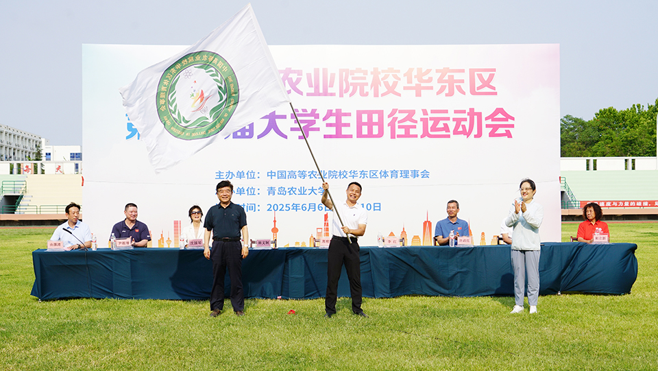 88858cc永利